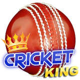 com.mobi.games.cricketking