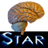 air.AnatomyStarBrain