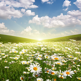 com.LandscapeLiveWallpaperHQ