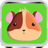 app.hamster_training.course