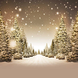 com.freewps.winterlivewallpaperHD