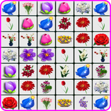 onet.flower.newstar.free