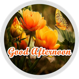 com.appscroy.stickersgoodafternoonwithflowers