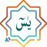 com.alcsoft.yasiniserif