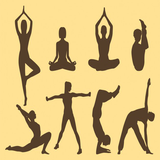 saeed.soran.yoga