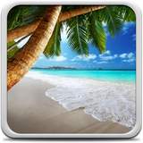 com.TropicalBeachLiveWallpaperHDHQ