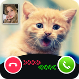 fakecall.catgame.catvideocall.catcalling