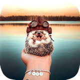 ir.tinasoft.scientific_knowledge_of_animals