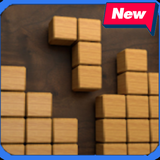 com.block.woodpuzzle