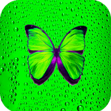 com.Green.wallpaper.image.background.wallpaper