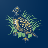 com.quailtools.qpocket