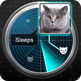 ru.starapps7.radarwhatmakescatjoke