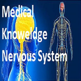 com.munikrishna1201.NERVOUS_SYSTEM
