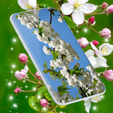 spring.blossom.live.wallpaper