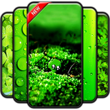 com.andromo.dev623845.app713560