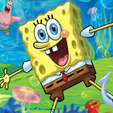 ir.ir.spongew