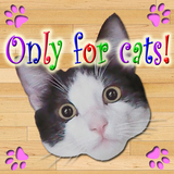 com.droidelabs.OnlyForCats