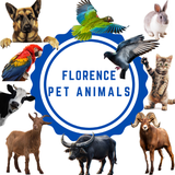 com.florencepet.florencepet