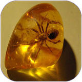 ghotbi.hamechizdarrabetebasamgh