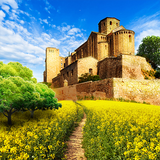 com.midnightadventures.lonesurvivorFREE