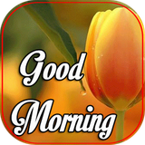 com.svilopo.goodmorning