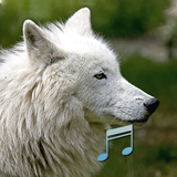 com.sm.animalsounds