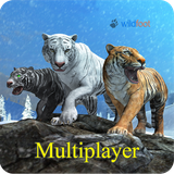 com.wildfoot.tiger.siberia.multiplayer