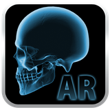 com.popartoys.anatomychart