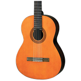 com.venotech.niazmusicguitarclassic