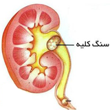 com.electron.kolliye