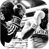 com.hejratkadeh.mosabegheboxherfeie