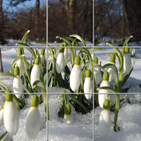 com.style.games.puzzle.seasons