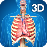 com.visual3dscience.Respiratory