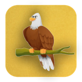 com.FeelGoodGames.Machin