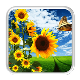 live.wallpaper.sunflower.shiny.nature