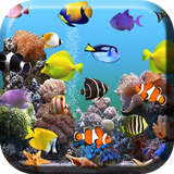 com.AquariumLiveWallpapernn