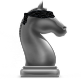 com.ficgs.blindfoldchess