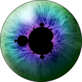 au.com.softology.visionsofchaos