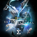 com.enigma.series.super_natural