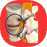 com.mnz_ht.behesenokhae