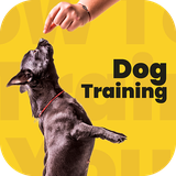 com.doginfo.dogclicker.dogtraining