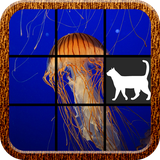 com.FatCat.SeaWorldPuzzle