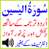 com.fyasin.mysurahalyaseenqariabdulbasitquranurdutarjumahtilawattranslationaudiomp3