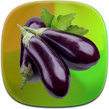 com.phoinix_sqltlm.bademjan