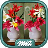 com.midva.games.free.findTheDifference.flowers