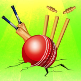 com.hk.idle.cricket