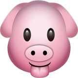 hungriPig.android.xdk