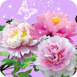 com.flowers.wallpaper.flowersdulalwallpaper