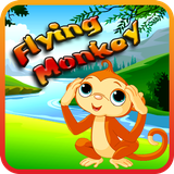 com.hemelix.flying.monkey