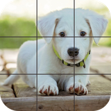 com.tordusgames.puzzles.puppies